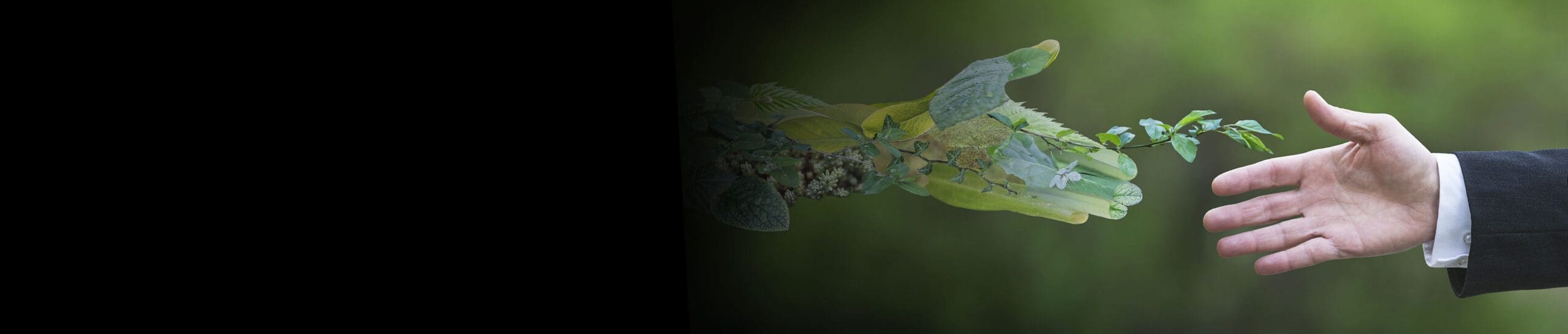 Susutainability banner 012418 scaled